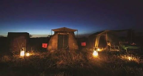 Semi-luxury camping safari in Tanzania