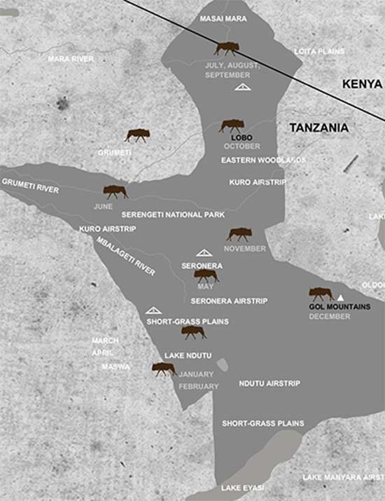 Where are the wildebeest? Map showing where the great migration is each month of the year